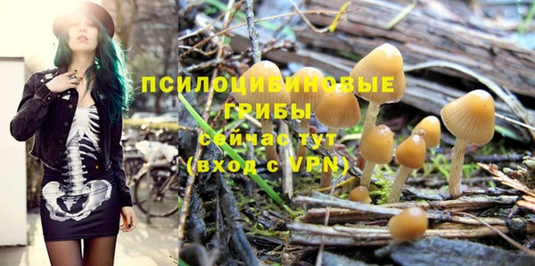 мдпв Фурманов