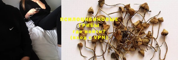 мдпв Фурманов