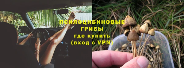 мдпв Фурманов